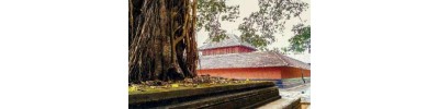 சுப்பிரமண்யா கோயில் - பேரளசேரி